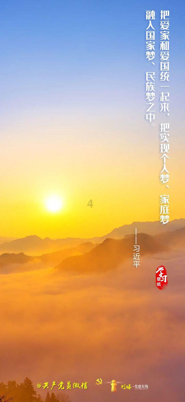 Iphone手机装扮